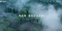 数据的精确性和完整性